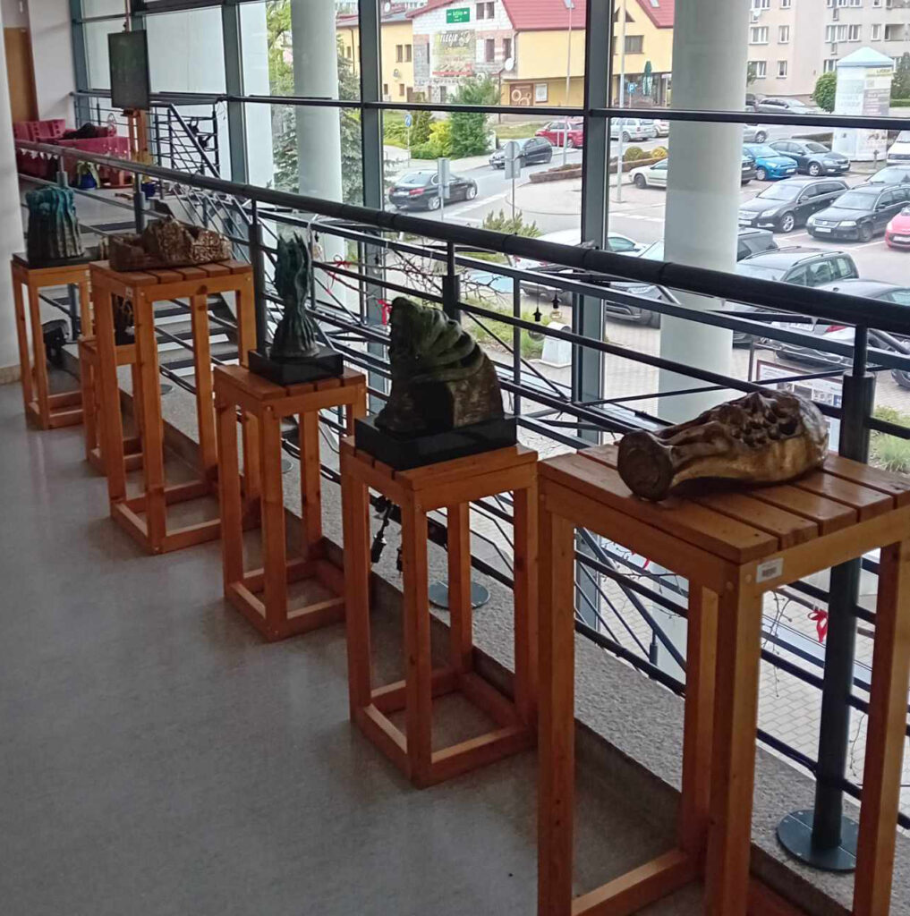 Wystawa Zaświaty Oleśnica Zdj. 7